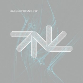 Roni Size Matter Of Fact - 2008 Re-edit