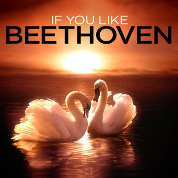 Franz Joseph Haydn feat. St. Petersburg Radio Symphony Orchestra Symphony No. 101 in D Major, Hob. 1/101, "The Clock": IV. Finale: Vivace