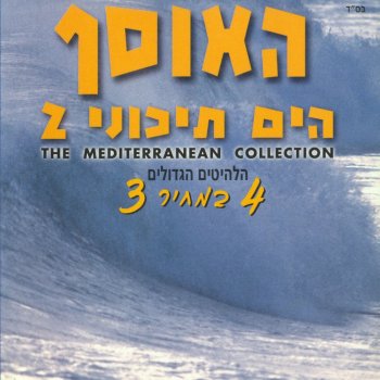 Ron Shoval לפעמים