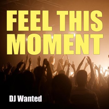 Исполнитель DJ Wanted, альбом Feel This Moment