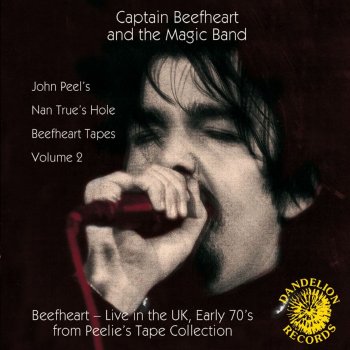 Captain Beefheart & His Magic Band Grow Fins (Live)