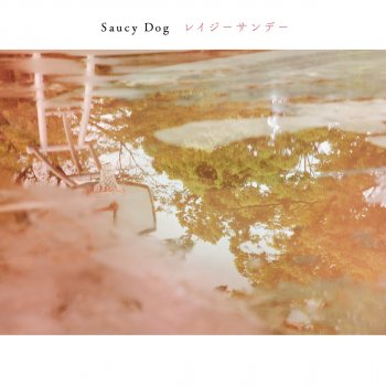 Saucy Dog sugar