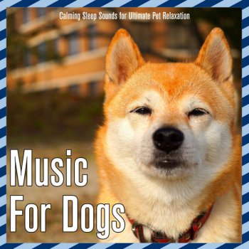 Relaxmydog feat. Dog Music Dreams Puppy Paws