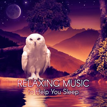Deep Sleep Hypnosis Masters Sleep Through the Night