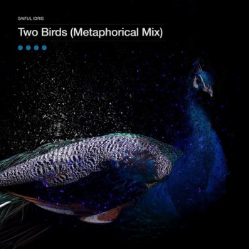 Saiful Idris Two Birds - Metaphorical Mix