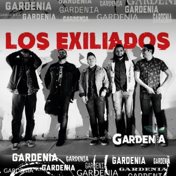 Gardenia Ángeles del infierno