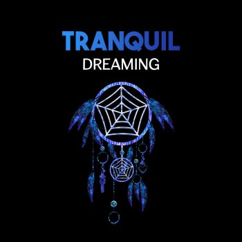 Deep Sleep Maestro Holistic Healing