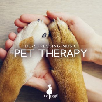 Pet Music Academy Pet Therapy