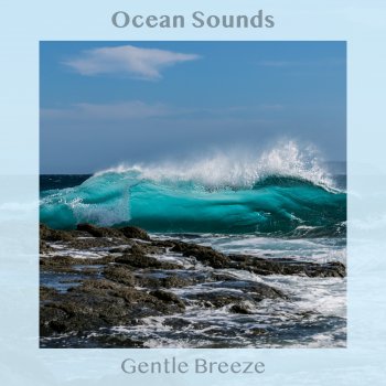 Ocean Sounds Beachfront