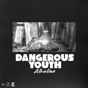 Alkaline Dangerous Youth