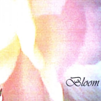 Bloom Blossom