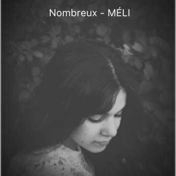Meli Nombreux