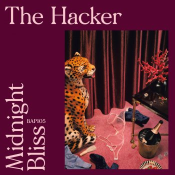 The Hacker Midnight Bliss