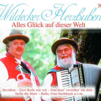 Die Wildecker Herzbuben Ohne Heimat