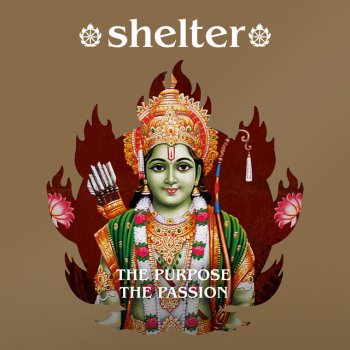 Shelter The Anatomy of Us