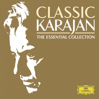 Herbert von Karajan feat. Berliner Philharmoniker Serenade for Strings in C Major, Op. 48: II. Walzer