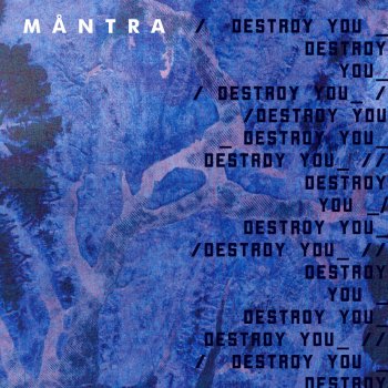 Mantra Destroy You