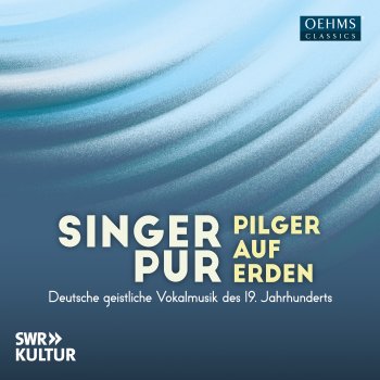 Singer Pur Ave verum corpus, S. 44