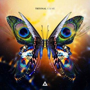 Tritonal feat. Lourdiz Little by Little