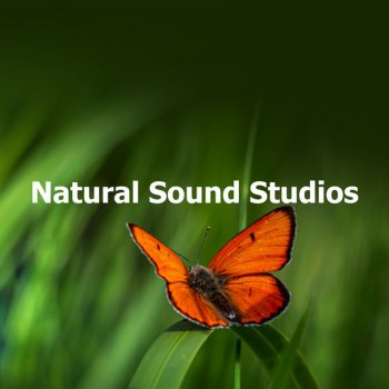 Worldwide Nature Studios Nights Twitter