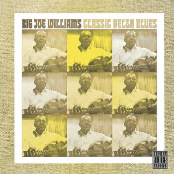 Big Joe Williams Dirt Road Blues