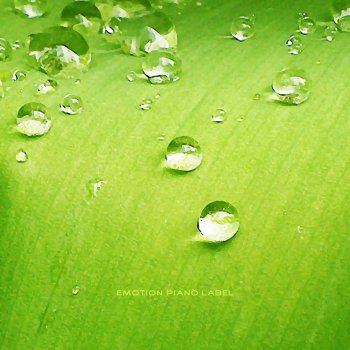 도레밍 맑게 피어나다