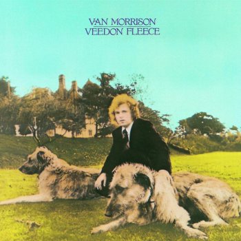 Van Morrison You Don't Pull No Punches, But You Don't Push the River