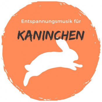 Hintergrundmusik Akademie Trennungsangst Musik