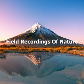 Nature Field Recordings Drink Slumber