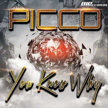 Picco You Know Why (Radio Edit)