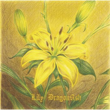 Dragon Ash Lily