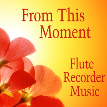 Исполнитель Music Theme Players, альбом Flute Recorder: From This Moment