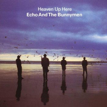 Echo & The Bunnymen Turquoise Days