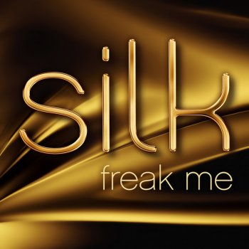 Silk Because of Your Love