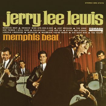 Jerry Lee Lewis Sticks and Stones