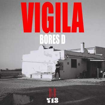 Bores D Vigila