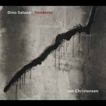 Dino Saluzzi Formas