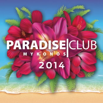 Tom Novy Paradise Club Mykonos (Continuous DJ Mix)