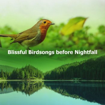 Bird Songs Lullabies Springtime Harmony