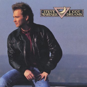 Steve Wariner Where Did I Go Wrong