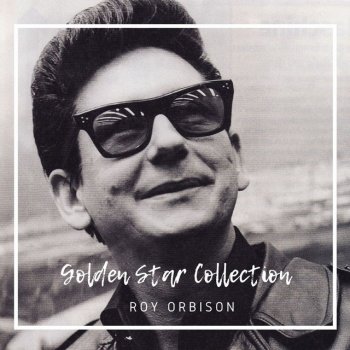 Roy Orbison Seems to Me