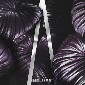 Исполнитель RockA, альбом Unutulur Her Şey