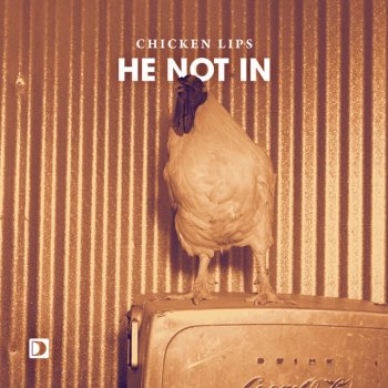 Chicken Lips He Not In - Original Mix