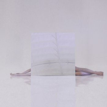 Camilo Séptimo Gris