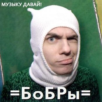 Бобры Бардак