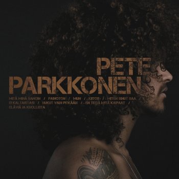 Pete Parkkonen Mitä minä sanoin