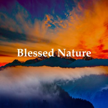 Nature Recordings Organic Crystalline