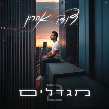 Dudu Aharon מגדלים 2
