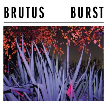 Brutus All Along