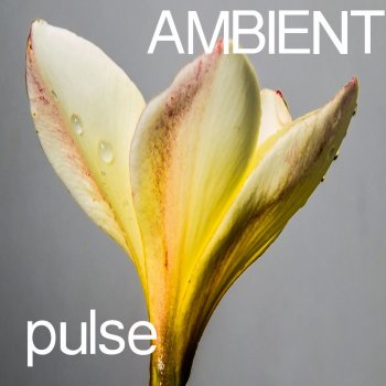 Daniel LeBlanc Matrix Countdown